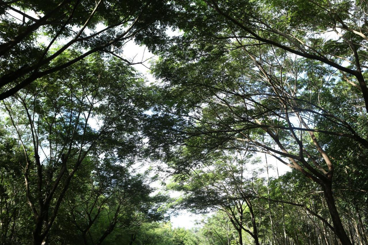 Pak Chong Intercontinental Khao Yai Resort By Ihg מראה חיצוני תמונה