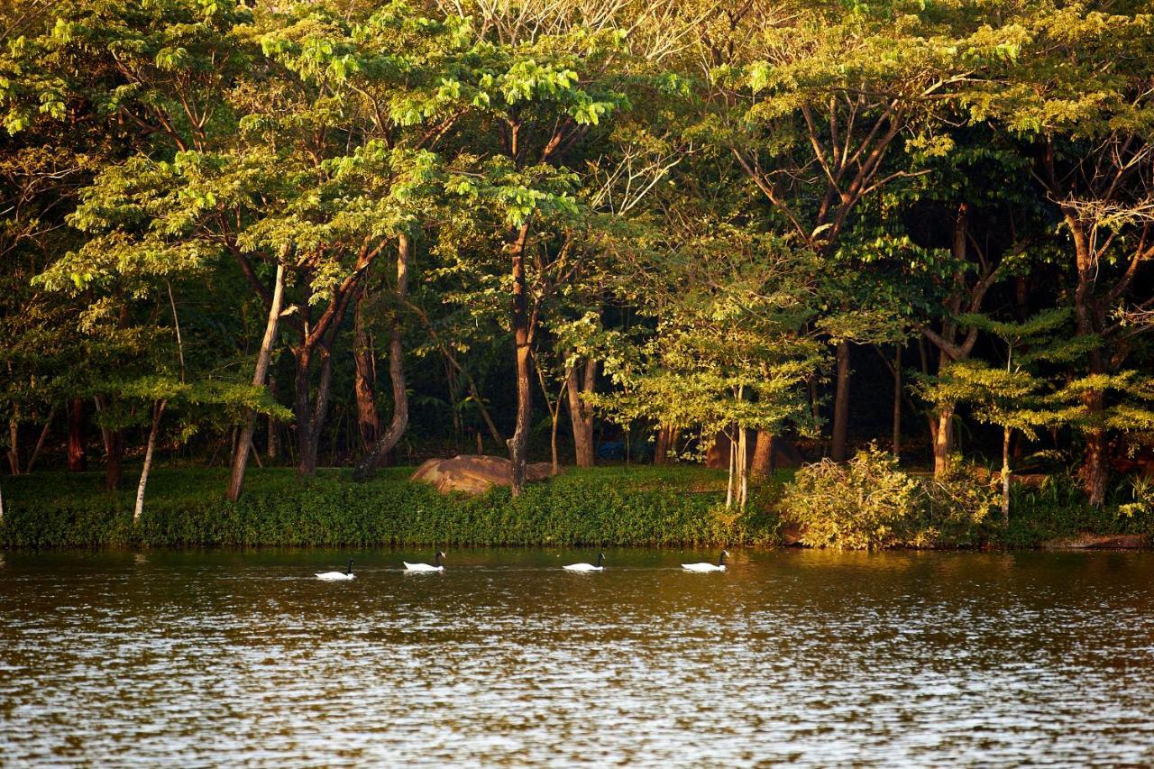 Pak Chong Intercontinental Khao Yai Resort By Ihg מראה חיצוני תמונה
