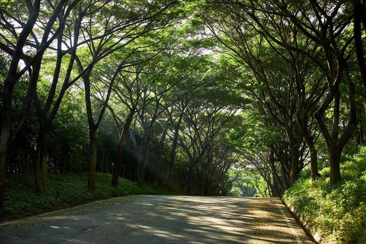 Pak Chong Intercontinental Khao Yai Resort By Ihg מראה חיצוני תמונה
